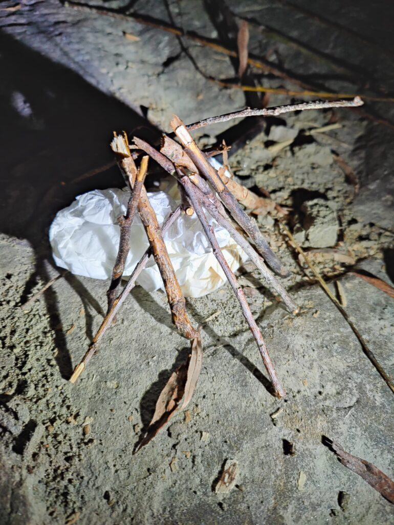 Tiny fire setup with tissue and twigs for #afireaday