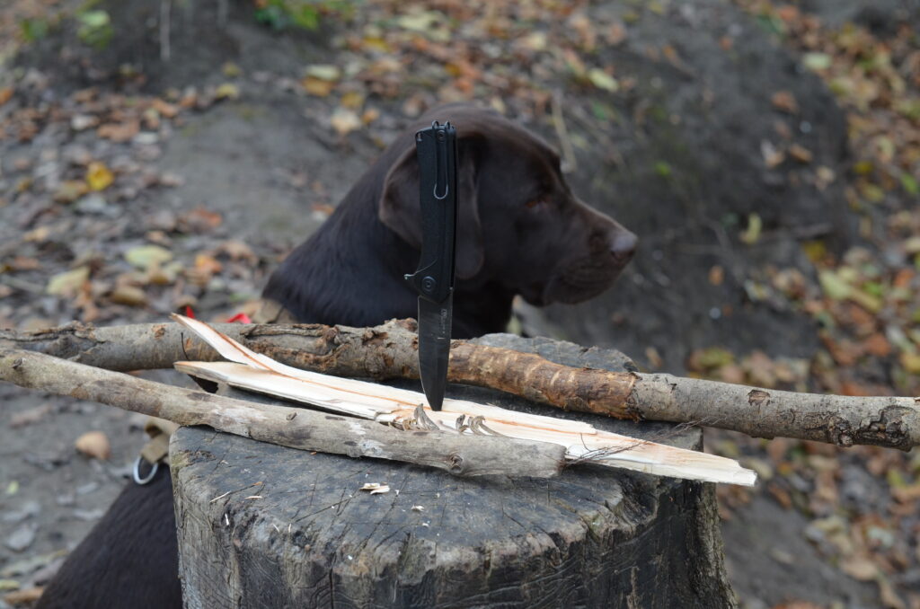 ANV Z100BB knife with Ronja in the background