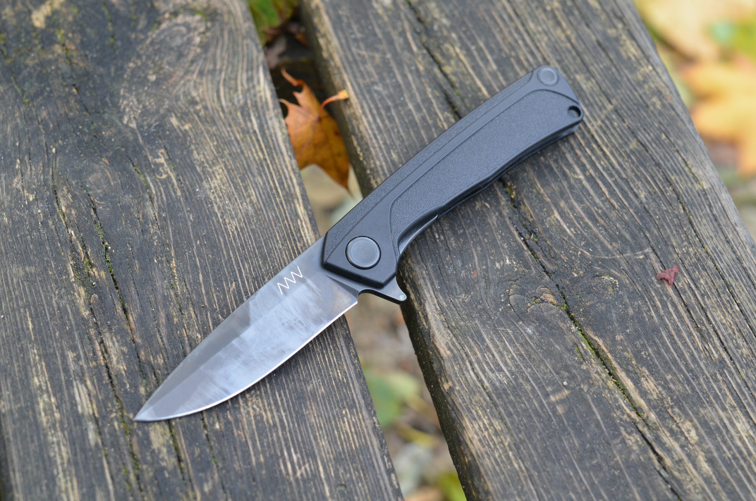 Acta Non Verba Z100 BB [Review]