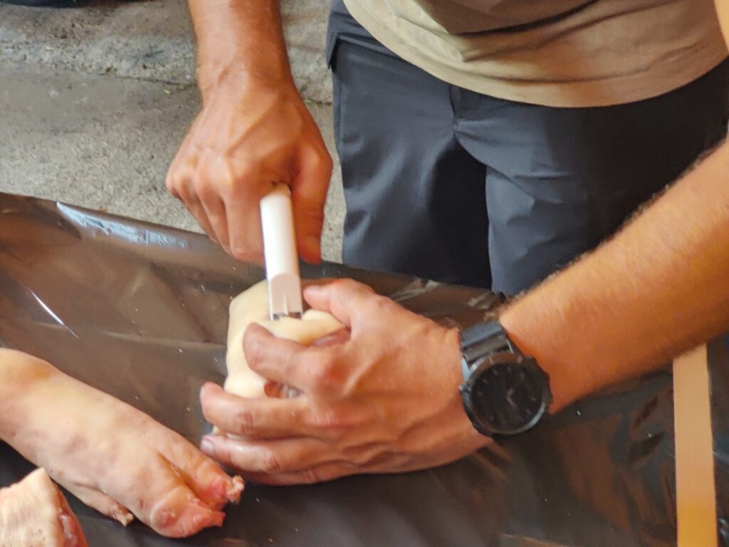 Detail of wound stapling
