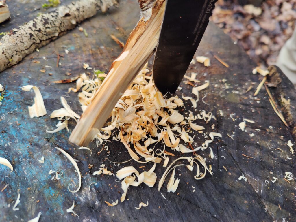 Shavings after abuse